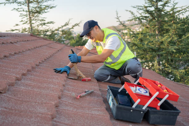 Best Best Roofing Contractors  in Wailua, HI
