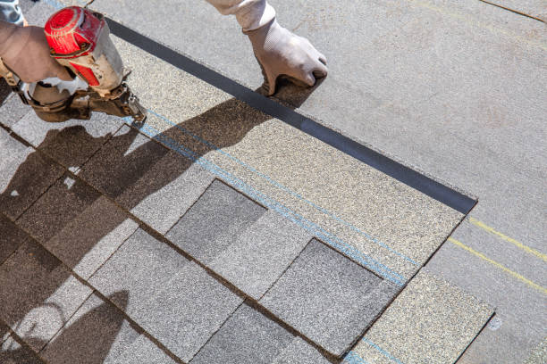 Best Roof Maintenance Services  in Wailua, HI